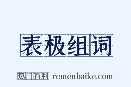 表极组词是什么意思的图片